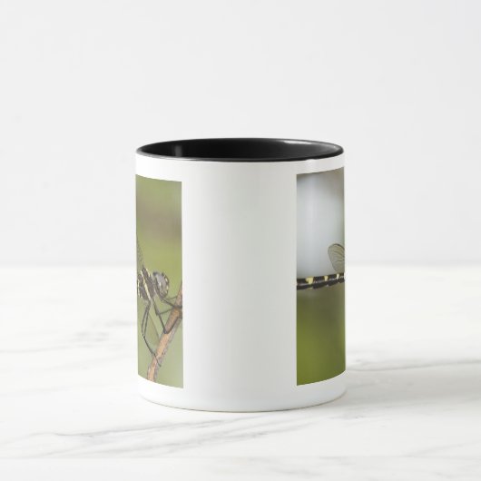 Dragonfly 5 mok (Midden)