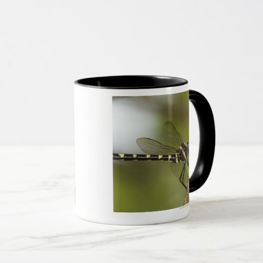 Dragonfly 5 mok (Voorkant rechts)