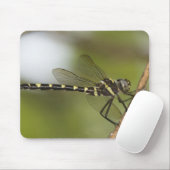 Dragonfly 5 muismat (Met muis)