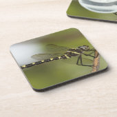 Dragonfly 5 onderzetter (Linkerzijde)