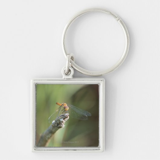 Dragonfly 5 sleutelhanger (Voorkant)
