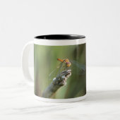 Dragonfly 5 tweekleurige koffiemok (Voorkant links)