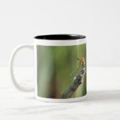 Dragonfly 5 tweekleurige koffiemok (Links)