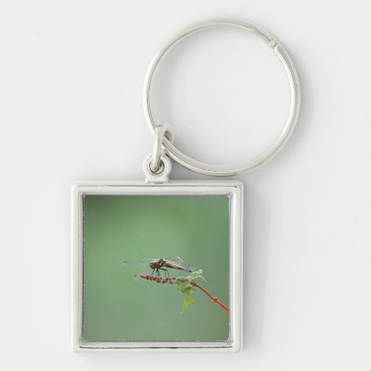Dragonfly 6 sleutelhanger (Voorkant)