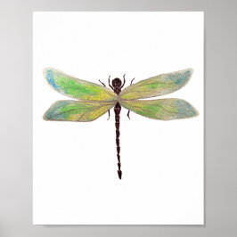 Dragonfly 8 x 10 afdrukken poster