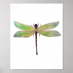 Dragonfly 8 x 10 afdrukken poster