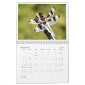 Dragonfly Agenda 2011 Kalender (Feb 2027)
