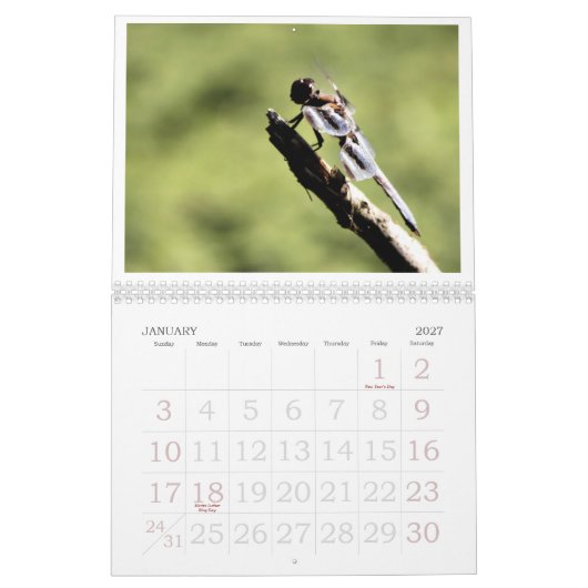Dragonfly Agenda 2011 Kalender (Jan 2027)