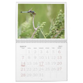 Dragonfly Agenda 2011 Kalender (Mar 2027)