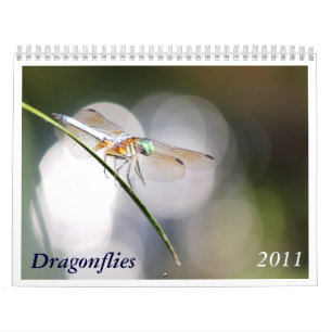 Dragonfly Agenda 2011 Kalender