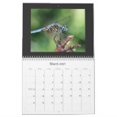 Dragonfly Agenda 2011 Kalender (Mar 2027)