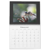 Dragonfly Agenda 2011 Kalender (Feb 2027)
