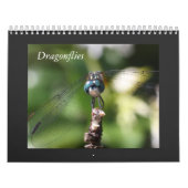 Dragonfly Agenda 2011 Kalender (Hoes)