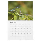 Dragonfly-agenda Kalender (Feb 2027)