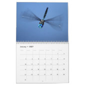 Dragonfly-agenda Kalender (Jan 2027)