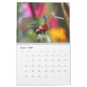 Dragonfly-agenda Kalender (Mar 2027)