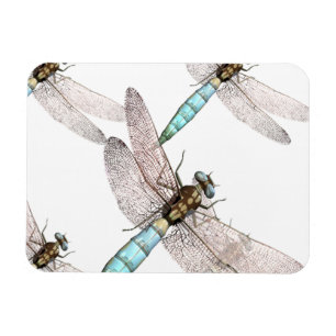 Dragonfly Air Force on White Magneet
