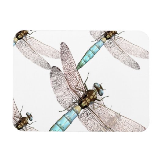 Dragonfly Air Force on White Magneet (Horizontaal)