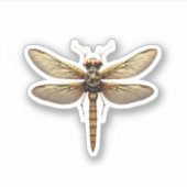 Dragonfly Animal Art Graphic Dragonfly Sticker (Voorkant)