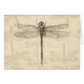 Dragonfly  Antiek Classic Natuur (Voorkant Horizontaal)