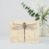Dragonfly  Antiek Classic Natuur Briefkaart (Staand voorkant)