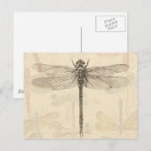 Dragonfly  Antiek Classic Natuur Briefkaart (Voorkant / Achterkant)