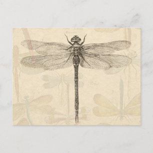 Dragonfly  Antiek Classic Natuur Briefkaart