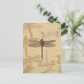 Dragonfly  Antiek Classic Natuur Briefkaart (Staand voorkant)