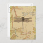 Dragonfly  Antiek Classic Natuur Briefkaart (Voorkant / Achterkant)