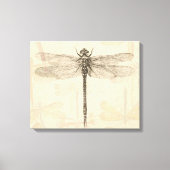 Dragonfly  Antiek Classic Natuur Canvas Afdruk (Voorkant)