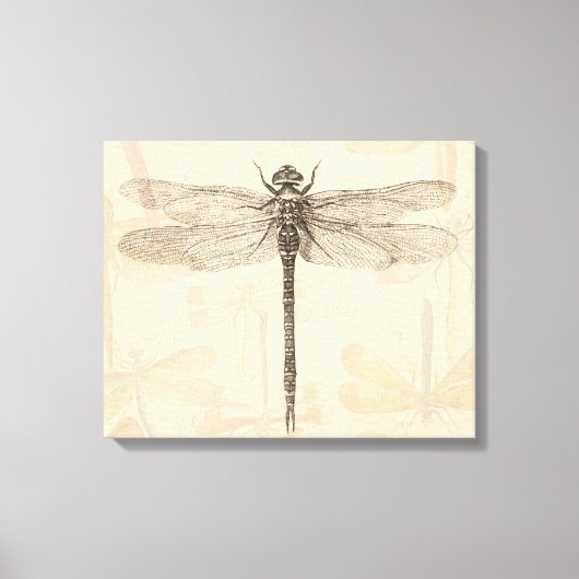 Dragonfly  Antiek Classic Natuur Canvas Afdruk (Voorkant)