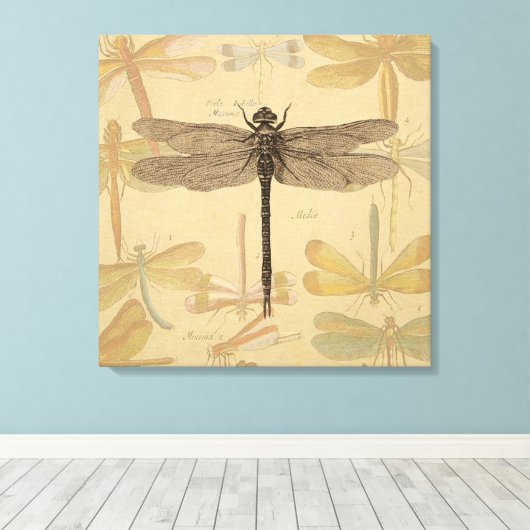 Dragonfly  Antiek Classic Natuur Canvas Afdruk (Insitu (Houten vloer))