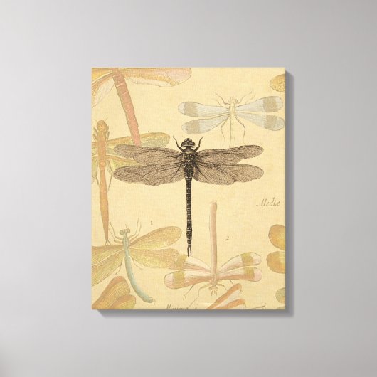 Dragonfly  Antiek Classic Natuur Canvas Afdruk (Voorkant)