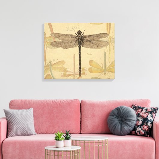 Dragonfly  Antiek Classic Natuur Canvas Afdruk (Insitu (Woonkamer))