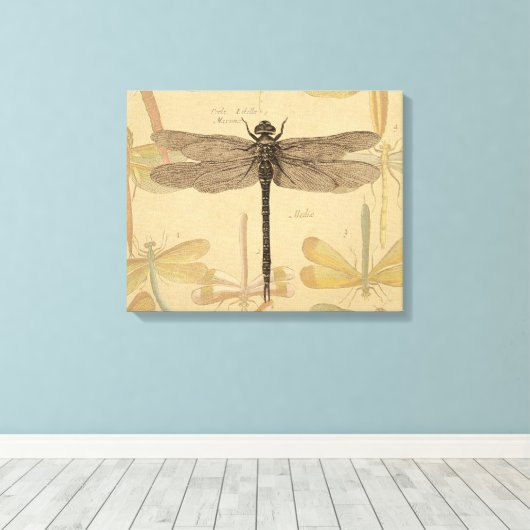 Dragonfly  Antiek Classic Natuur Canvas Afdruk (Insitu (Houten vloer))