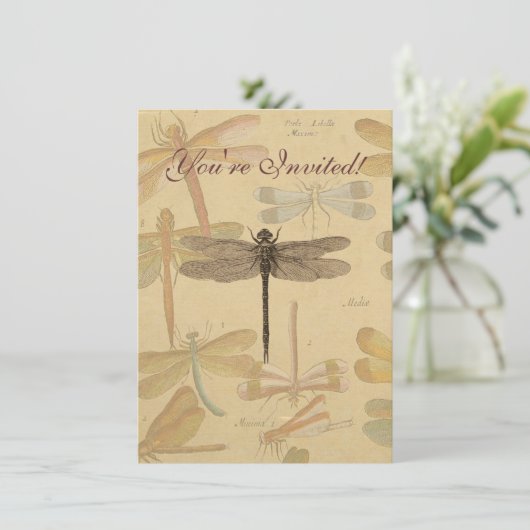 Dragonfly  Antiek Classic Natuur Kaart (Staand voorkant)