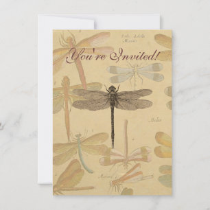 Dragonfly  Antiek Classic Natuur Kaart