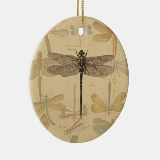 Dragonfly  Antiek Classic Natuur Keramisch Ornament (Rechts)