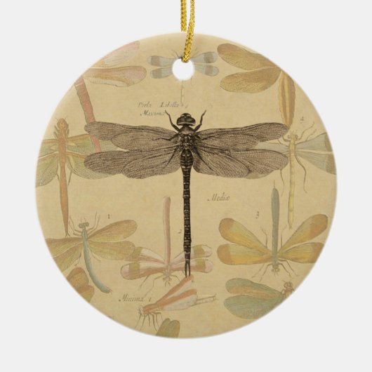 Dragonfly  Antiek Classic Natuur Keramisch Ornament (Voorkant)