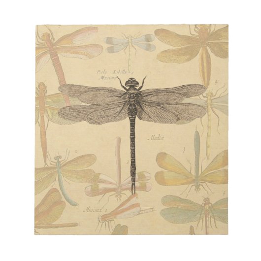 Dragonfly  Antiek Classic Natuur Notitieblok (Voorkant)
