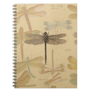 Dragonfly  Antiek Classic Natuur Notitieboek