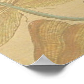 Dragonfly  Antiek Classic Natuur Poster (Hoek)