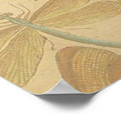 Dragonfly  Antiek Classic Natuur Poster (Hoek)