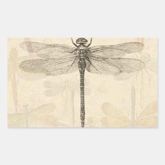 Dragonfly  Antiek Classic Natuur Rechthoekige Sticker (Voorkant)