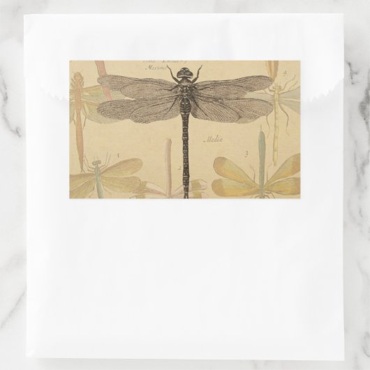 Dragonfly Antiek Classic Natuur Rechthoekige Sticker (Tas)