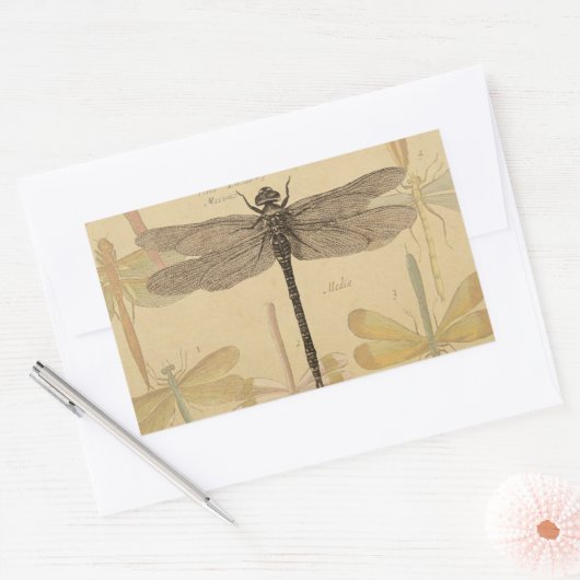 Dragonfly  Antiek Classic Natuur Rechthoekige Sticker (Envelop)