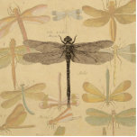 Dragonfly  Antiek Classic Natuur Staand Fotobeeldje<br><div class="desc">Dragonfly Antiek afbeelding van een libellen - Deze zoete libellen zijn een antiek afbeelding van een mooie libellen,  getrokken in zwart-wit,  met een achtergrond van zachte,  kleurrijke libellen tegen antiek papier.</div>