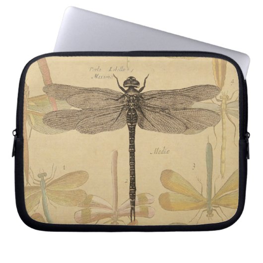 Dragonfly  Antiek Klassieke tekening Laptop Sleeve (Voorkant)