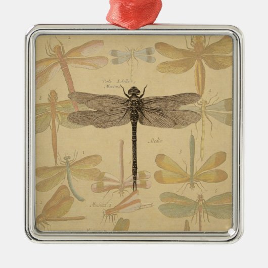 Dragonfly  Antiek Klassieke tekening Metalen Ornament (Voorkant)