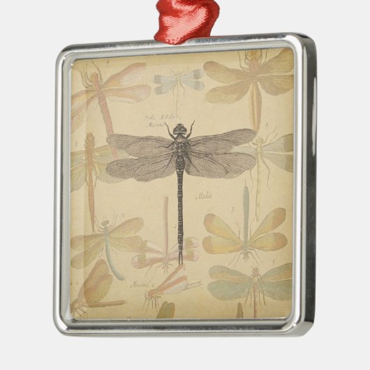 Dragonfly  Antiek Klassieke tekening Metalen Ornament (Links)